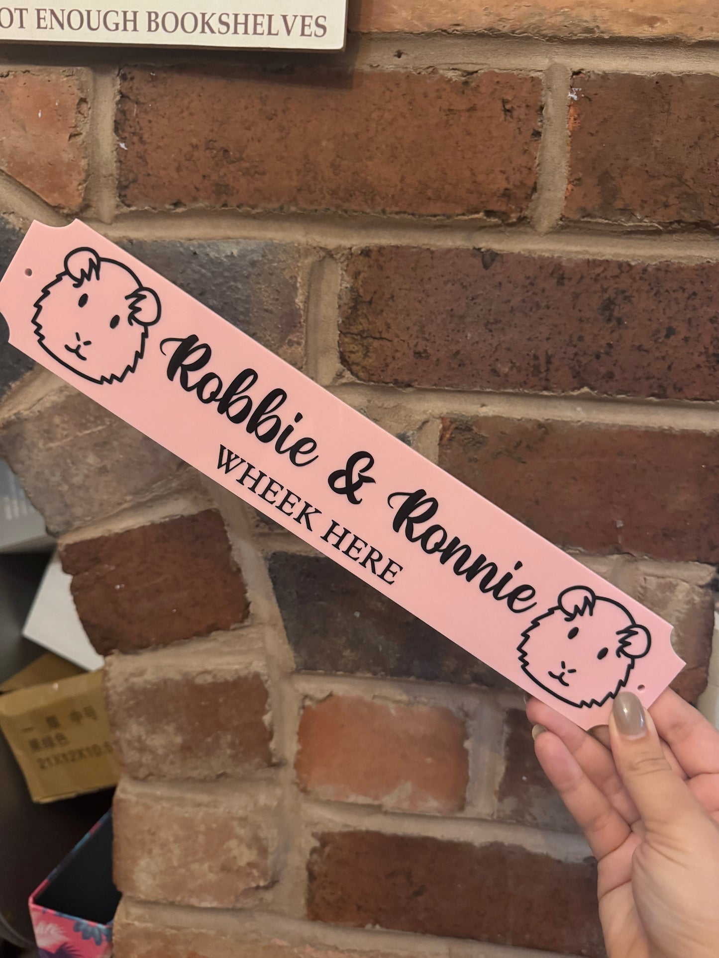 Personalised Guinea Pig Hutch Sign
