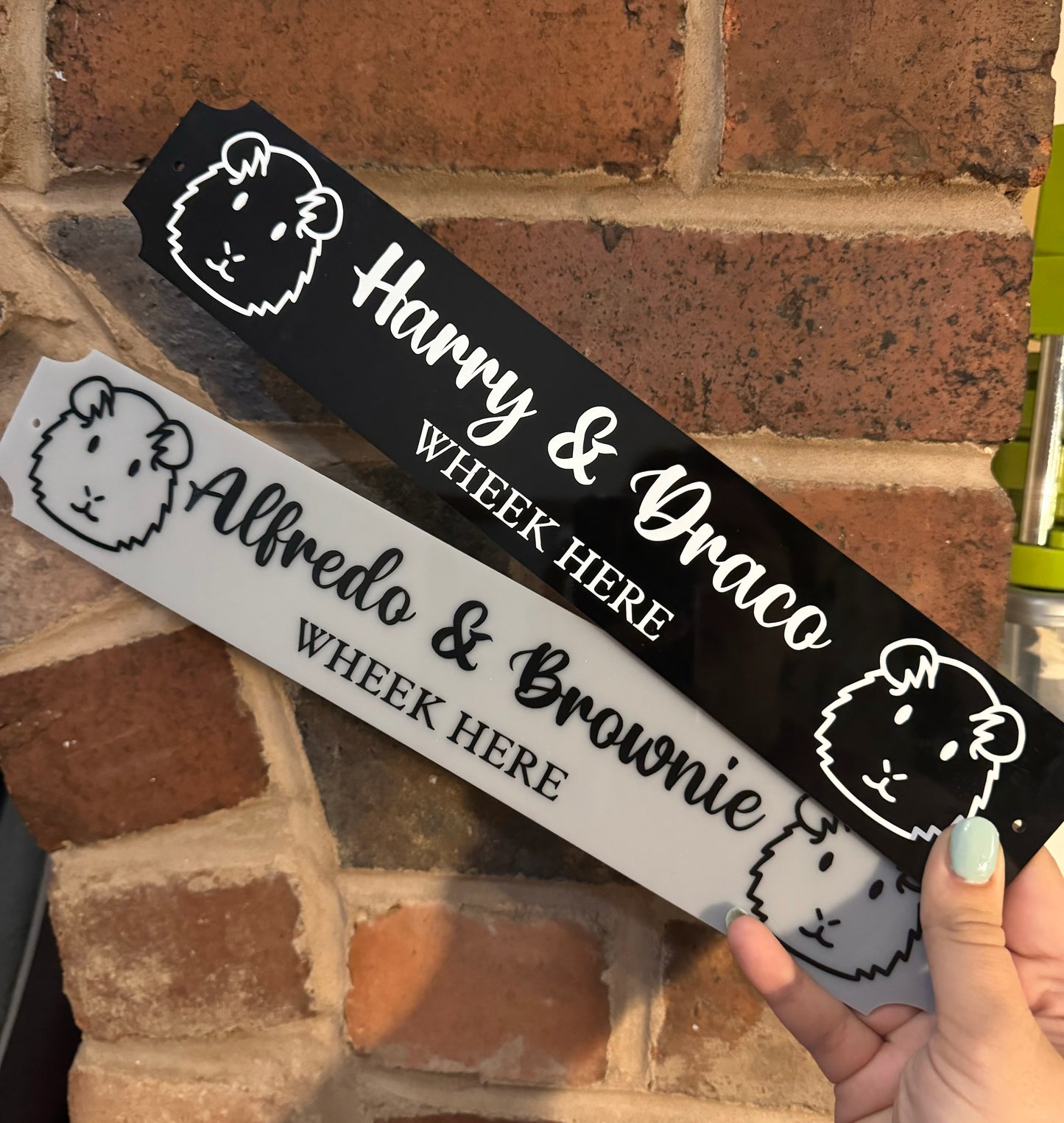 Personalised Guinea Pig Hutch Sign