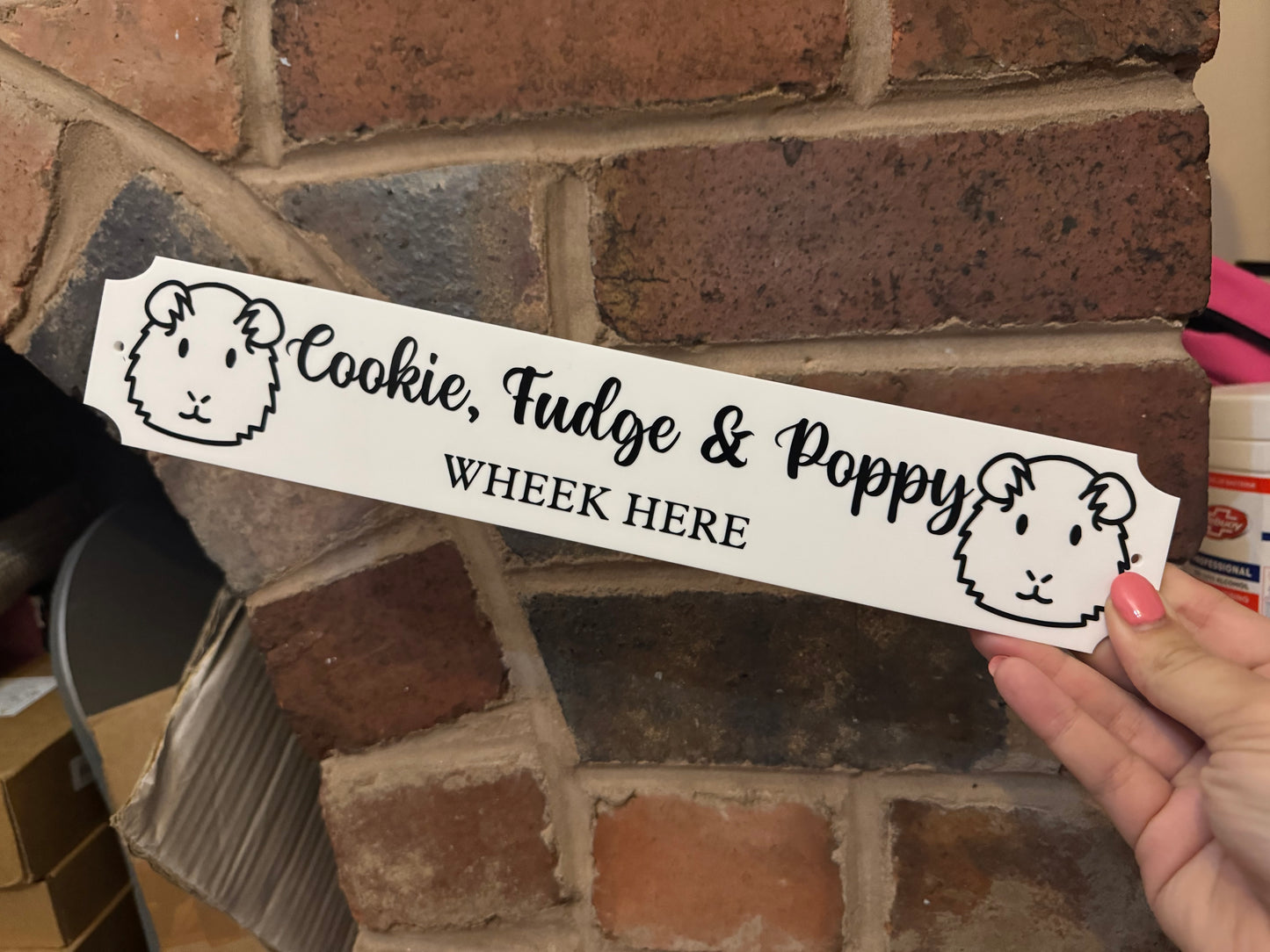 Personalised Guinea Pig Hutch Sign