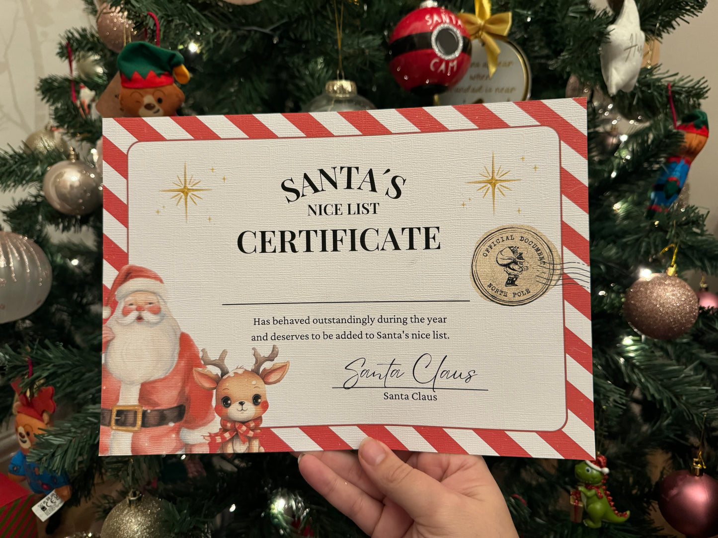 Santa’s Nice List Certificate Letter Scratch Bundle