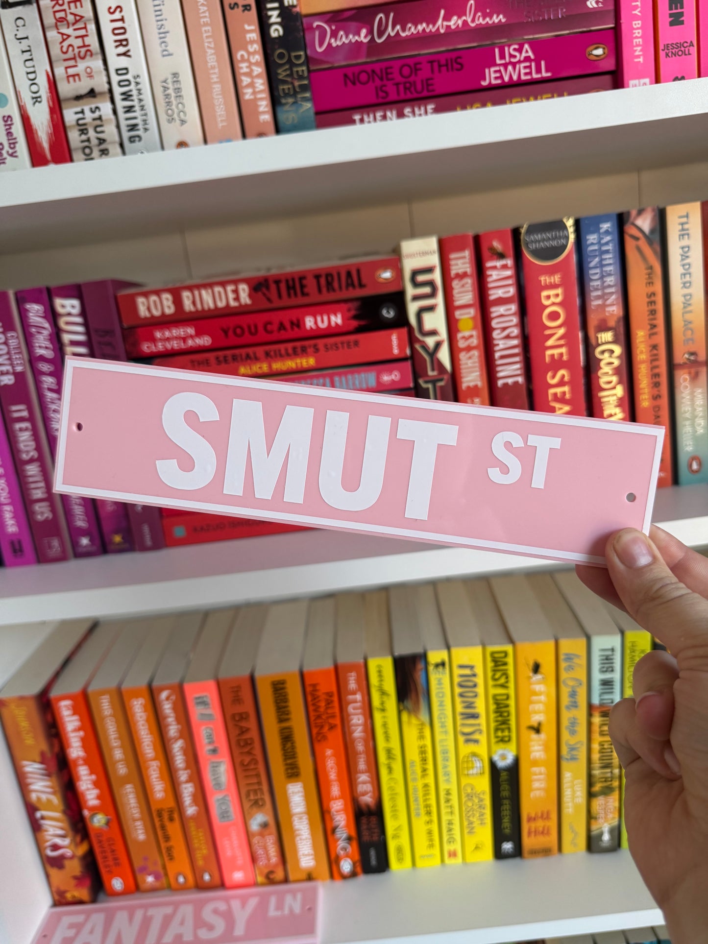 Smut Romance Fantasy Acrylic Street Signs